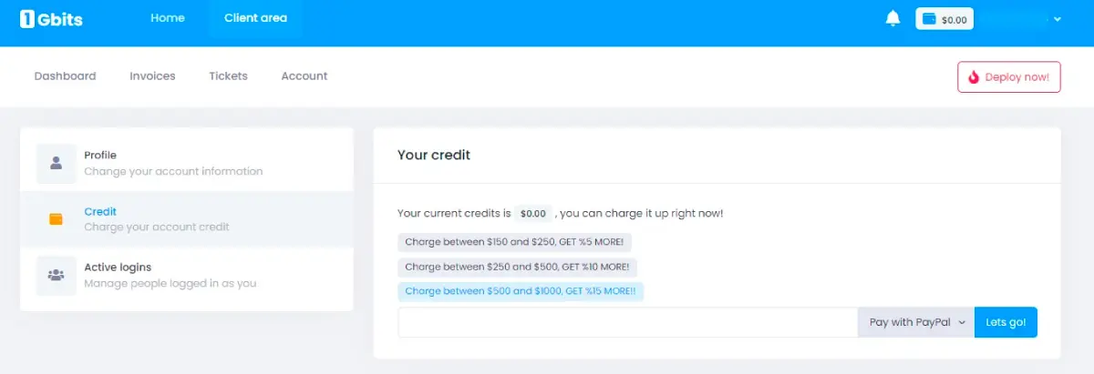 1Gbits dashboard top up account